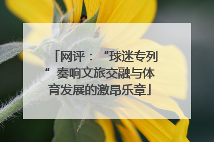 网评：“球迷专列”奏响文旅交融与体育发展的激昂乐章
