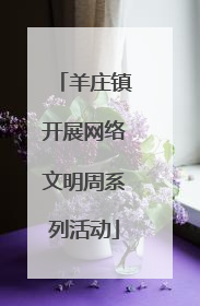 羊庄镇开展网络文明周系列活动