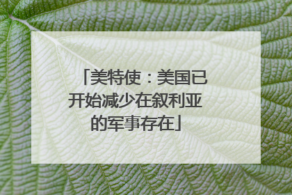 美特使：美国已开始减少在叙利亚的军事存在