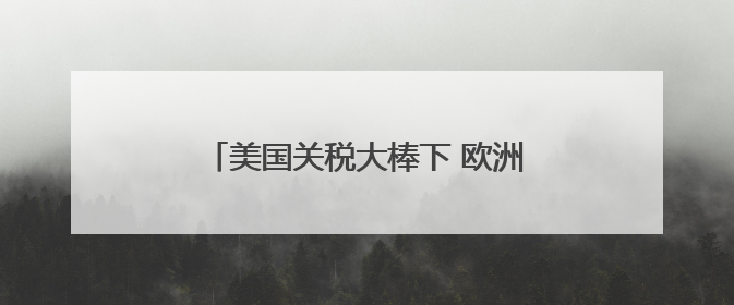 美国关税大棒下 欧洲多行业恐陷生存危机