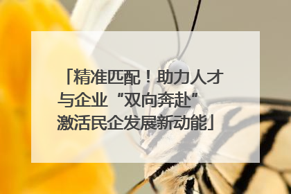 精准匹配！助力人才与企业“双向奔赴” 激活民企发展新动能