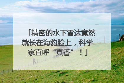 精密的水下雷达竟然就长在海豹脸上，科学家直呼“真香”！