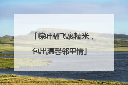 粽叶翻飞裹糯米，包出温馨邻里情