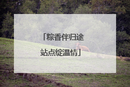 粽香伴归途 站点绽温情
