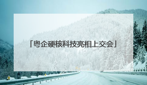 粤企硬核科技亮相上交会