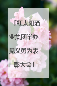 红太阳酒业集团举办见义勇为表彰大会
