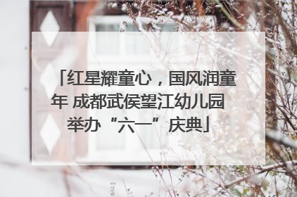 红星耀童心，国风润童年 成都武侯望江幼儿园举办“六一”庆典