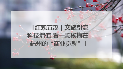 红观五溪｜文旅引流 科技增值 看一颗杨梅在靖州的“商业觉醒”