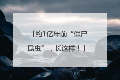 约1亿年前“僵尸昆虫”，长这样！
