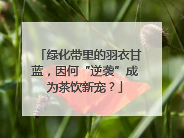 绿化带里的羽衣甘蓝，因何“逆袭”成为茶饮新宠？