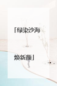 绿染沙海焕新颜