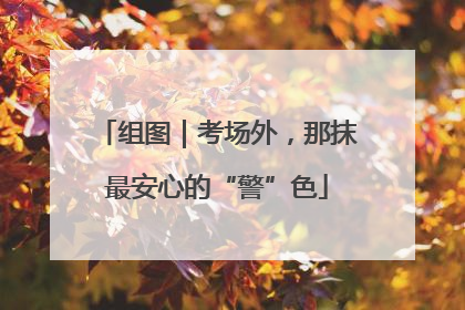 组图｜考场外，那抹最安心的“警”色