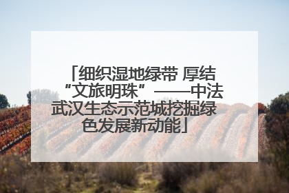 细织湿地绿带 厚结“文旅明珠”——中法武汉生态示范城挖掘绿色发展新动能