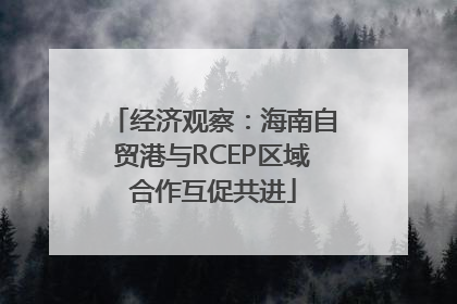 经济观察：海南自贸港与RCEP区域合作互促共进