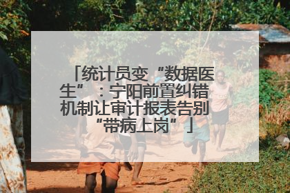 统计员变“数据医生”：宁阳前置纠错机制让审计报表告别“带病上岗”