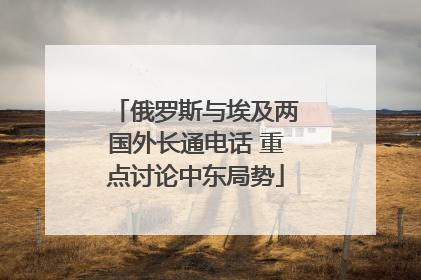 俄罗斯与埃及两国外长通电话 重点讨论中东局势