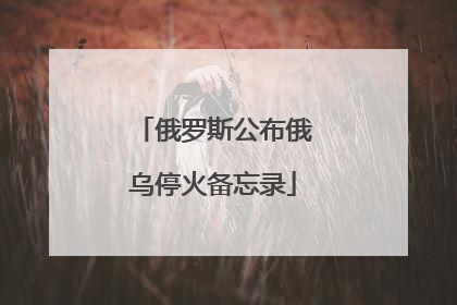 俄罗斯公布俄乌停火备忘录