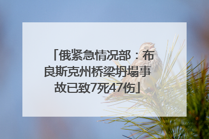 俄紧急情况部：布良斯克州桥梁坍塌事故已致7死47伤