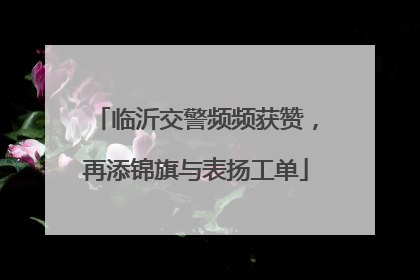 临沂交警频频获赞，再添锦旗与表扬工单