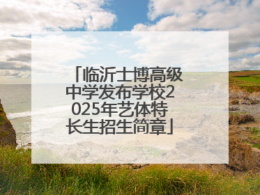 临沂士博高级中学发布学校2025年艺体特长生招生简章