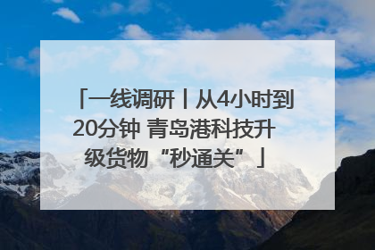 一线调研丨从4小时到20分钟 青岛港科技升级货物“秒通关”