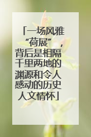一场风雅“荷展”，背后是相隔千里两地的渊源和令人感动的历史人文情怀
