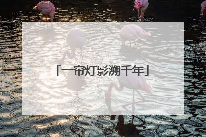 一帘灯影溯千年