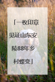 一枚印章见证山东安陵88年乡村蝶变