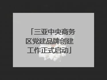 三亚中央商务区党建品牌创建工作正式启动