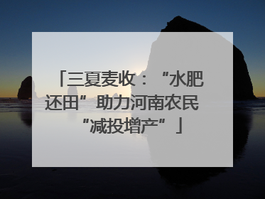 三夏麦收：“水肥还田”助力河南农民“减投增产”