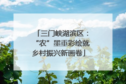 三门峡湖滨区：“农”墨重彩绘就乡村振兴新画卷