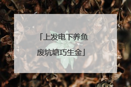 上发电下养鱼 废坑塘巧生金