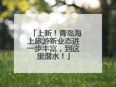 上新！青岛海上旅游新业态进一步丰富，到这里潜水！