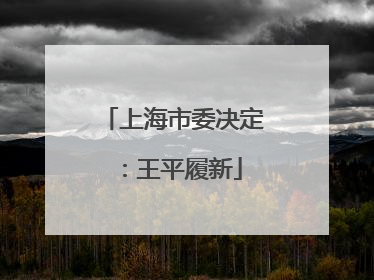 上海市委决定：王平履新