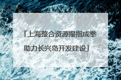 上海整合资源攥指成拳助力长兴岛开发建设