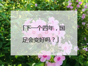 下一个四年，国足会变好吗？