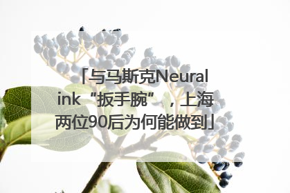 与马斯克Neuralink“扳手腕”，上海两位90后为何能做到