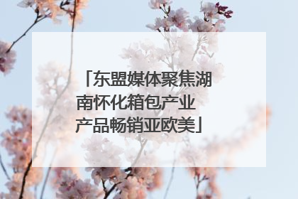 东盟媒体聚焦湖南怀化箱包产业 产品畅销亚欧美