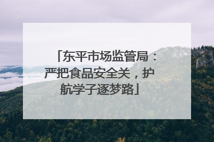 东平市场监管局：严把食品安全关，护航学子逐梦路