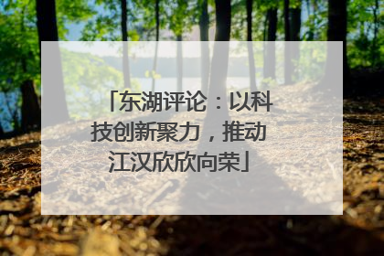 东湖评论：以科技创新聚力，推动江汉欣欣向荣