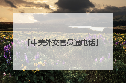 中美外交官员通电话
