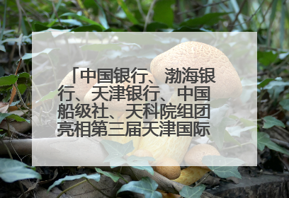 中国银行、渤海银行、天津银行、中国船级社、天科院组团亮相第三届天津国际航运展 输出航运服务“中国方案”