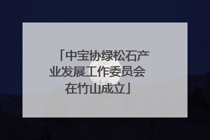 中宝协绿松石产业发展工作委员会在竹山成立