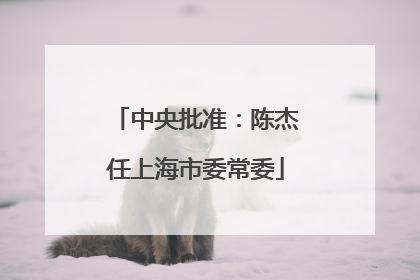 中央批准：陈杰任上海市委常委