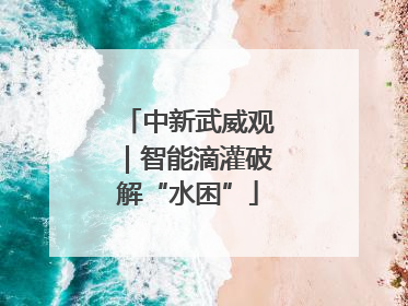 中新武威观｜智能滴灌破解“水困”