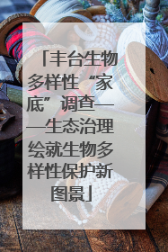 丰台生物多样性“家底”调查——生态治理绘就生物多样性保护新图景