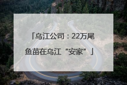 乌江公司：22万尾鱼苗在乌江“安家”