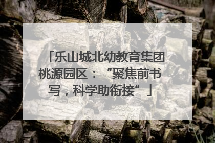 乐山城北幼教育集团桃源园区：“聚焦前书写，科学助衔接”