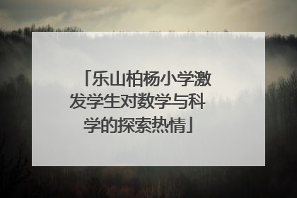 乐山柏杨小学激发学生对数学与科学的探索热情