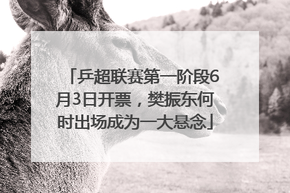 乒超联赛第一阶段6月3日开票，樊振东何时出场成为一大悬念